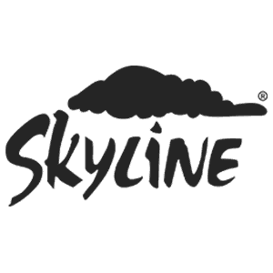 Skyline Developers