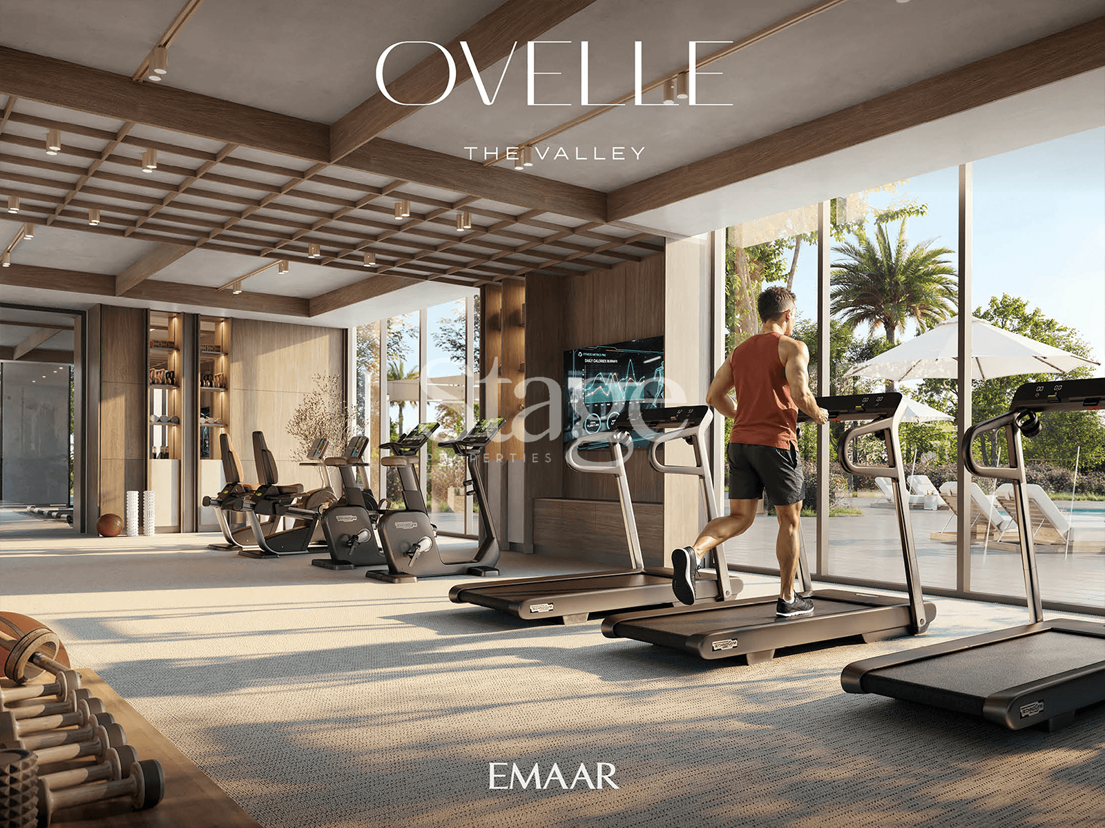 4 bedrooms Villas for Sale in The Valley, Dubai VI8954S