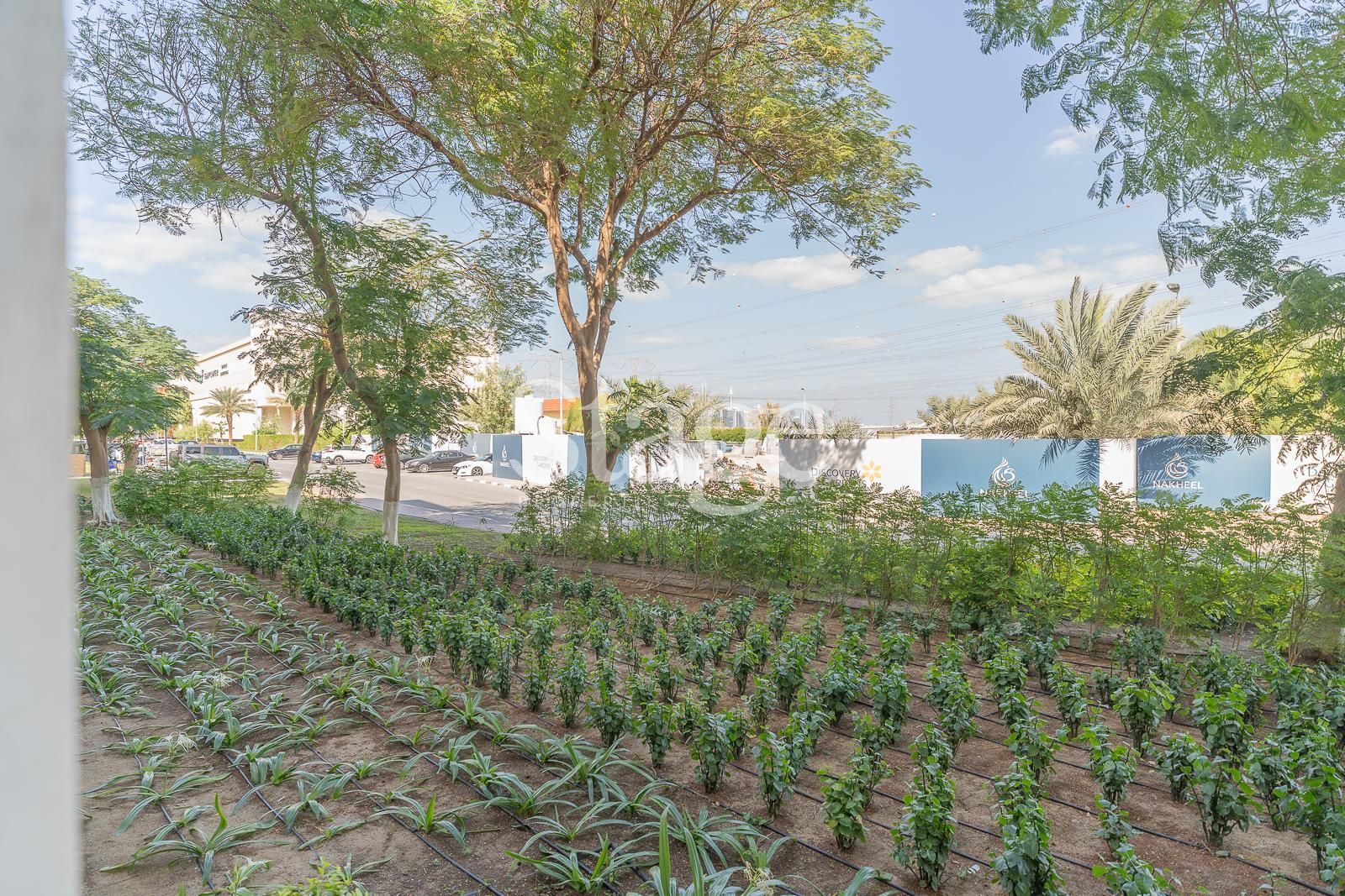 1 bedroom apartment for Rent in Discovery Gardens, Dubai AP7568L